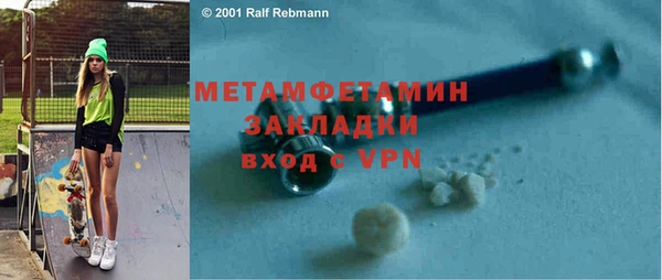 шишки Осинники
