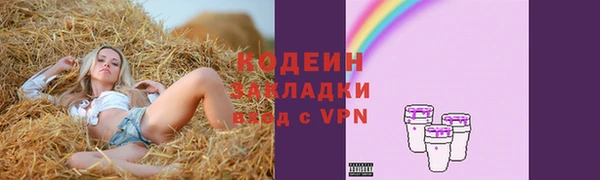 шишки Осинники