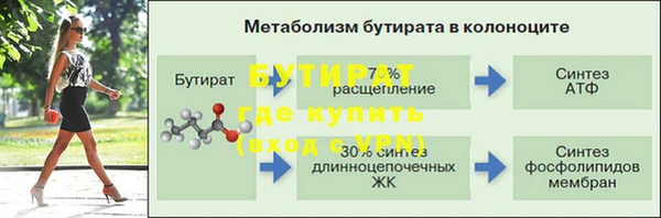 шишки Осинники