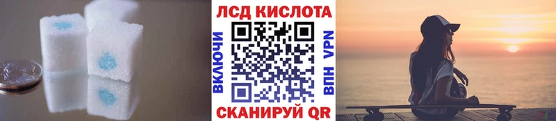 omg как войти  сколько стоит  Санкт-Петербург  LSD-25 экстази ecstasy 