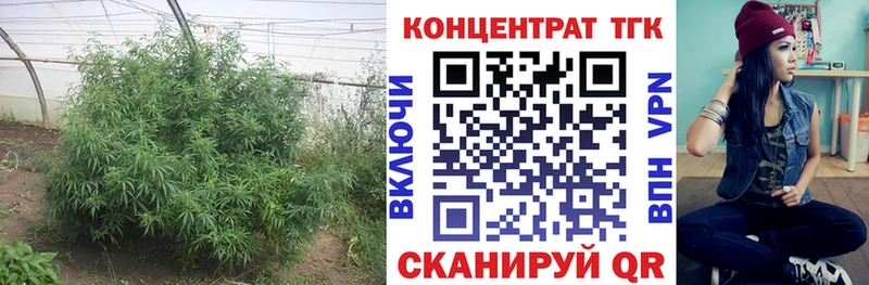 Дистиллят ТГК жижа  даркнет сайт  Санкт-Петербург 