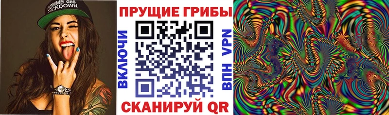 Галлюциногенные грибы мицелий  Санкт-Петербург 