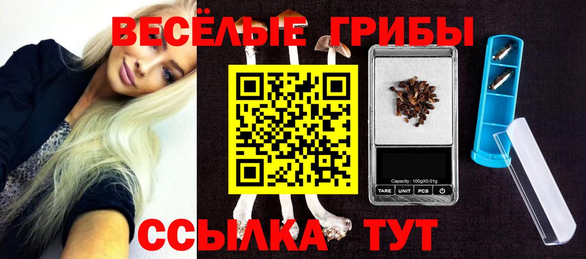 Псилоцибиновые грибы прущие грибы Санкт-Петербург