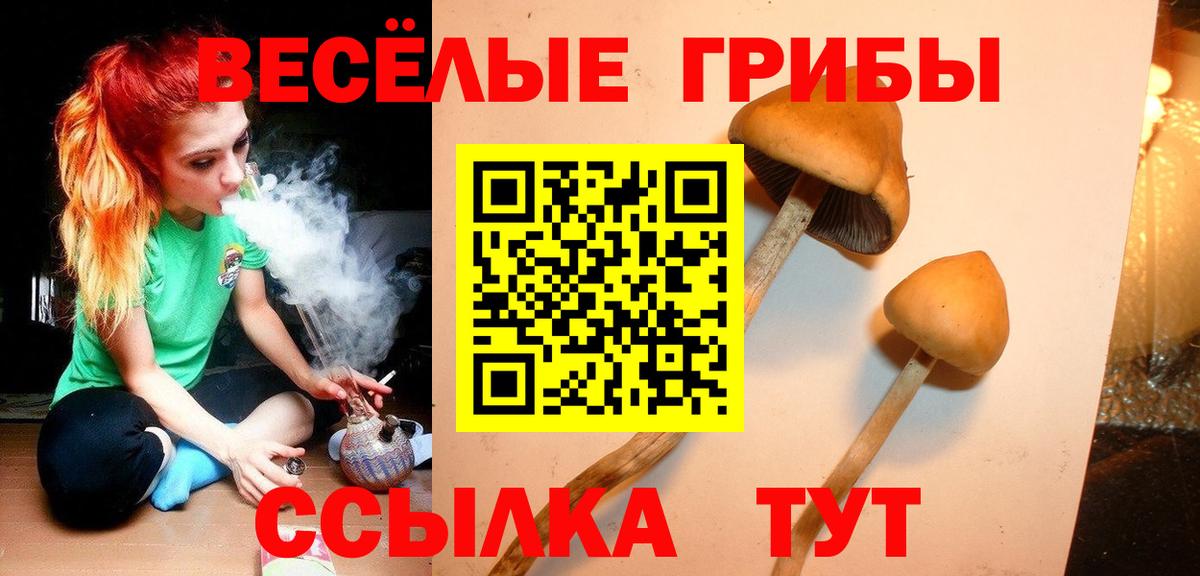 Санкт-Петербург  Псилоцибиновые грибы Cubensis  Вход с VPN 
